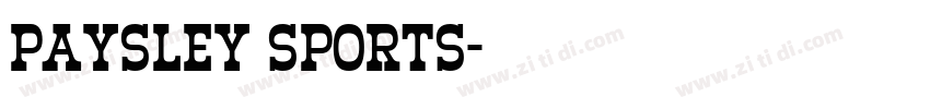 paysley sports字体转换